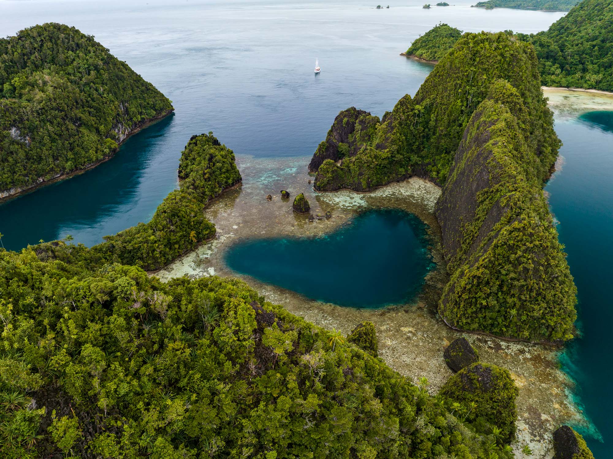 Immerse yourself throughout the Raja Ampat archipelago on the Jakare liveaboard.