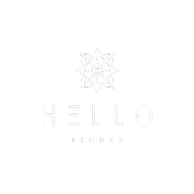 Jakare - Hello Flores