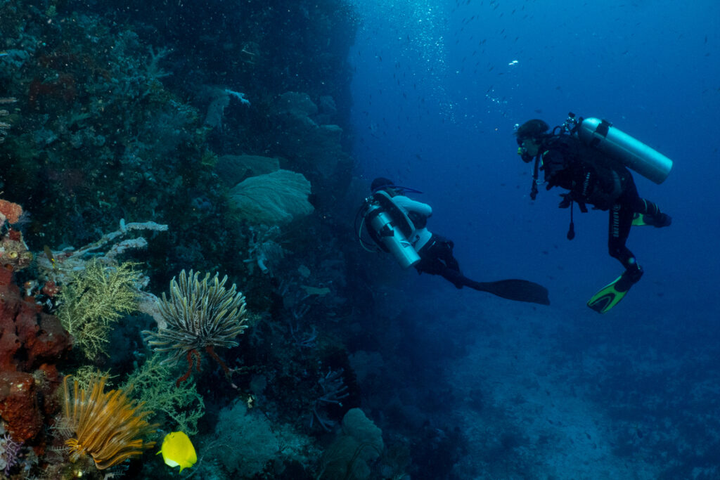 Jakare Diving Guide in Indonesia