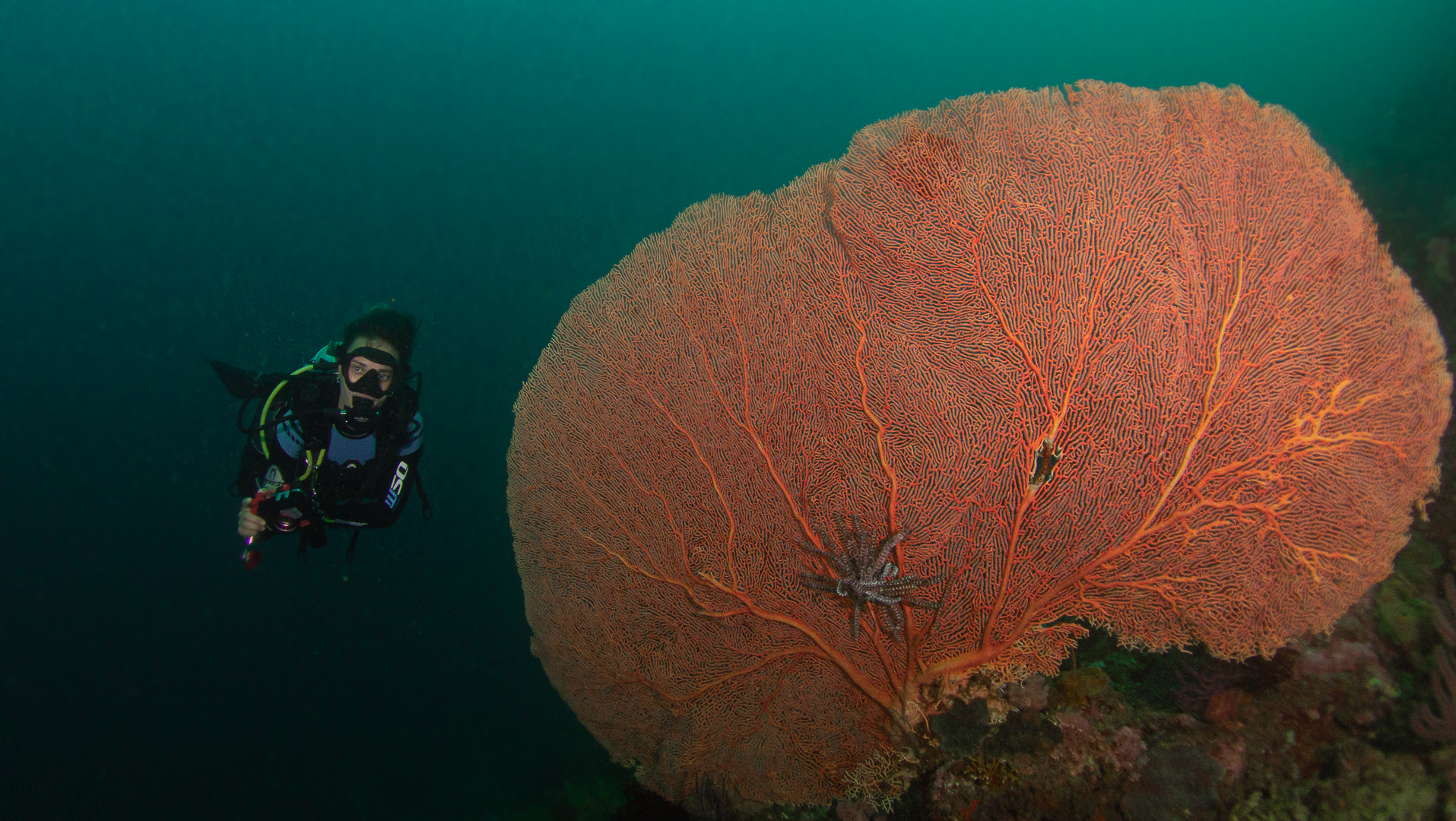 Sustainable Liveaboard Diving | Jakare Liveaboard
