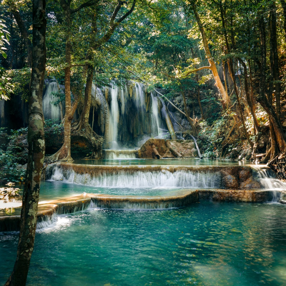 Jakare - Website new picture updates - Discovering 7