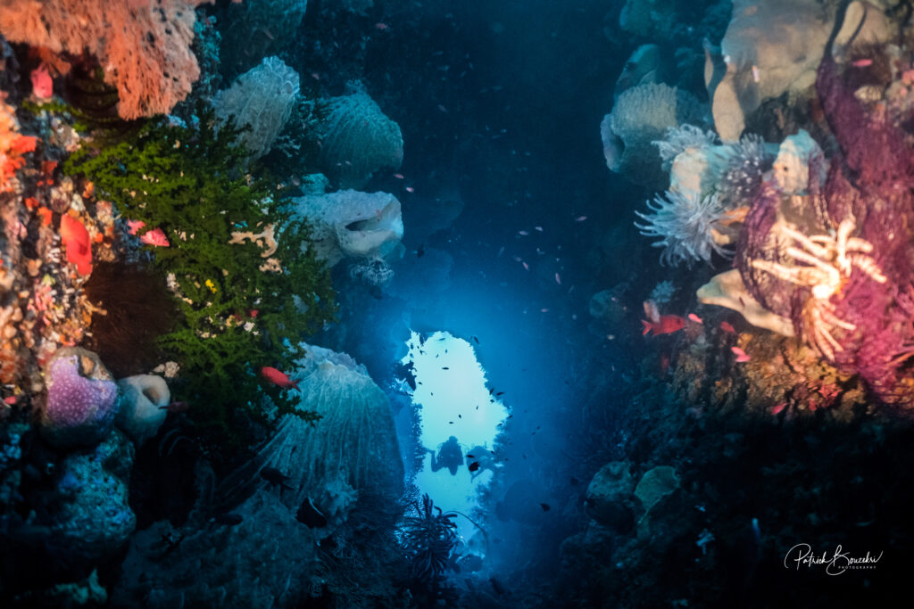 Batu Kapal Best Dive Site in Banda Sea | Jakare Liveaboard