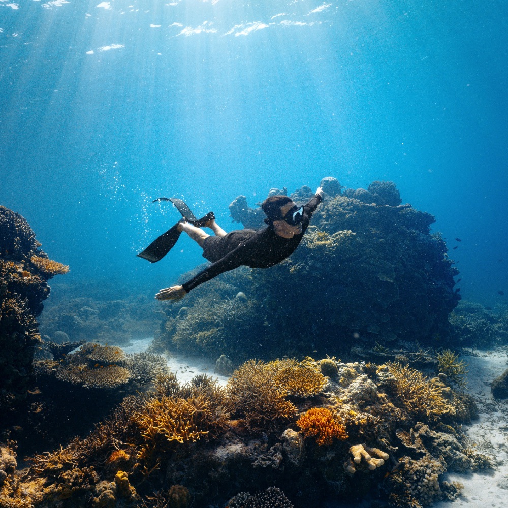 Jakare - Website new picture updates - Snorkeling 2