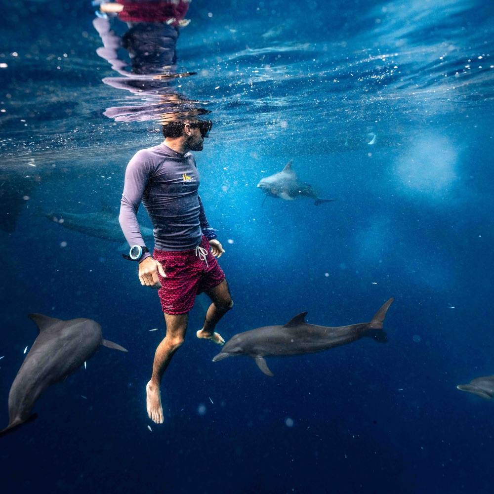 Jakare - Website new picture updates - Snorkeling 3