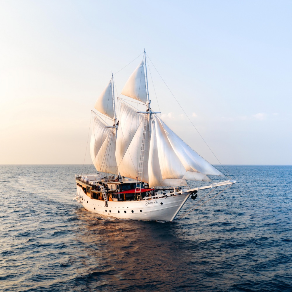 Jakare - Website new picture updates - The Boat 2