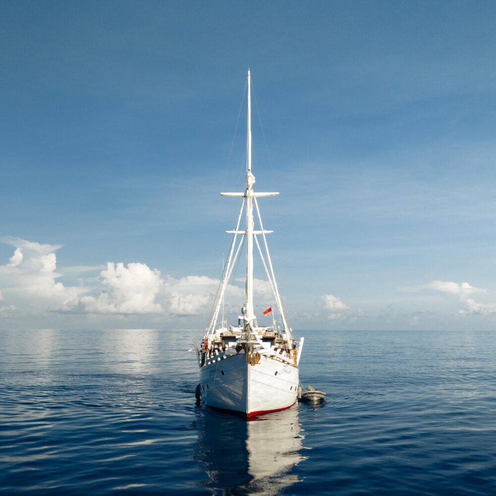 Jakare - Website new picture updates - The Boat 3