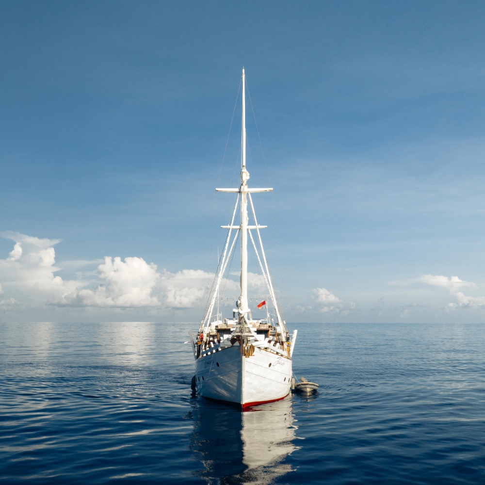 Jakare - Website new picture updates - The Boat 3