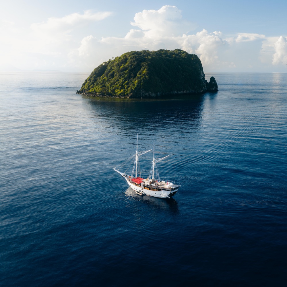 Jakare - Website new picture updates - The Boat 6